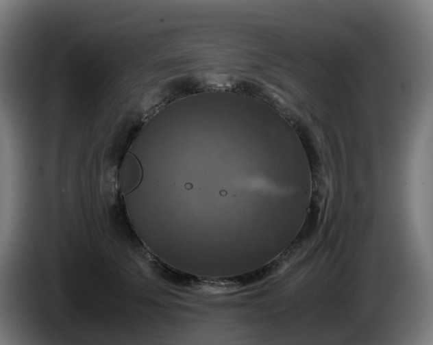 X0000086010707200703301010