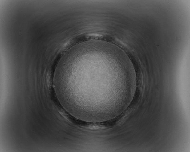 X0000086010708200703301010