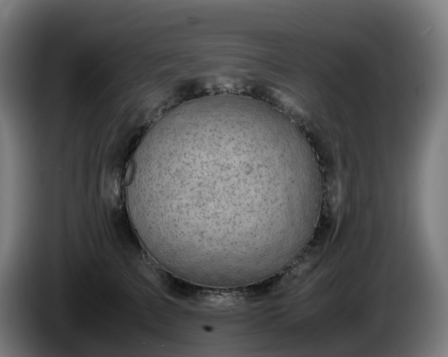 X0000086010709200703301010