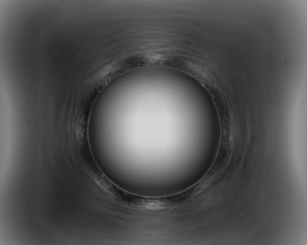 X0000086010710200703301010