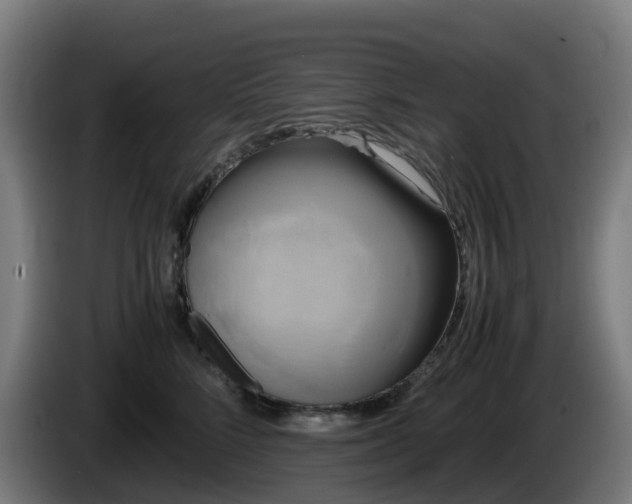 X0000086010712200703301010
