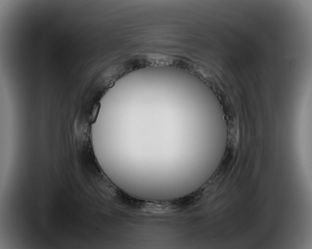 X0000086010713200703301010