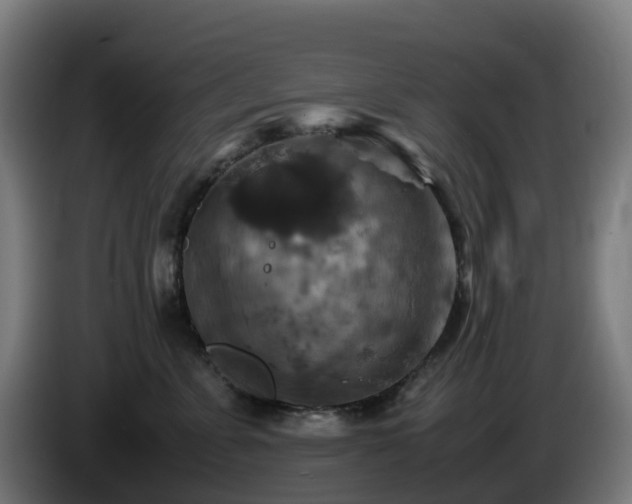X0000086010715200703301010