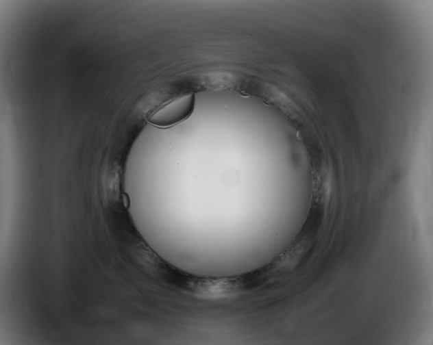 X0000086010717200703301010