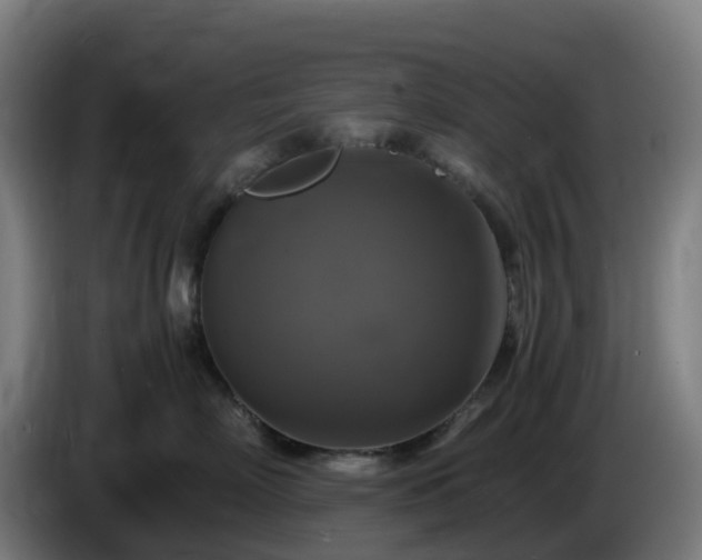 X0000086010718200703301010