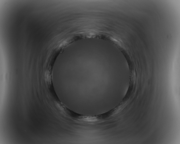 X0000086010719200703301010