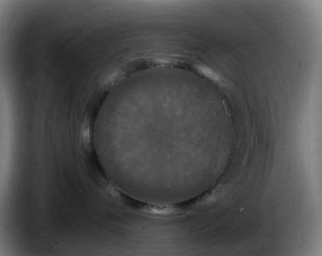 X0000086010720200703301010