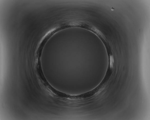 X0000086010723200703301009