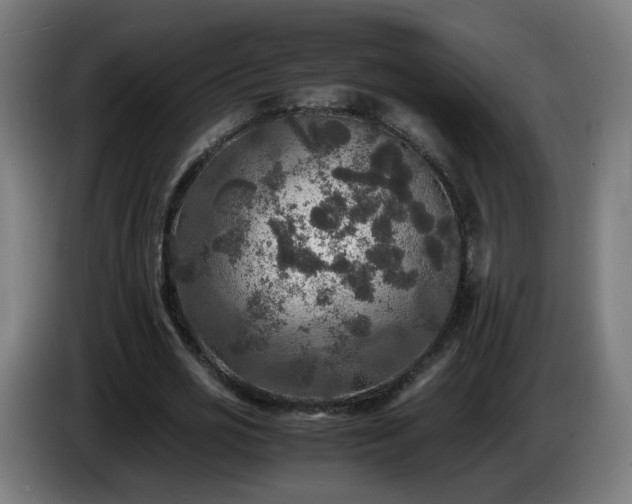 X0000086010725200703301009