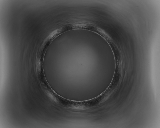 X0000086010729200703301009