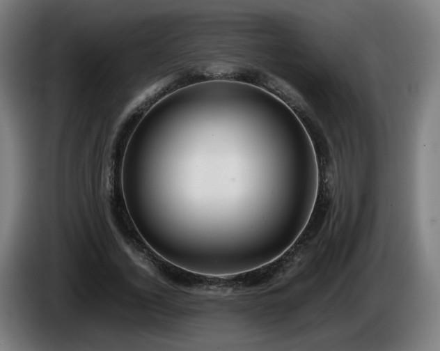 X0000086010732200703301009