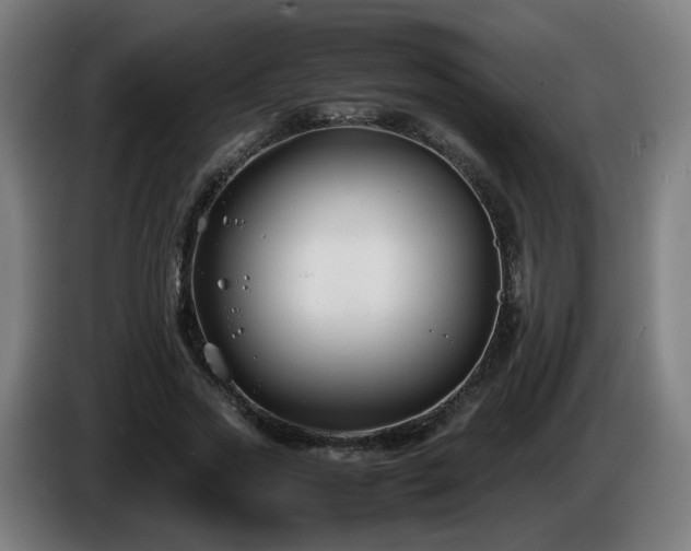 X0000086010733200703301009