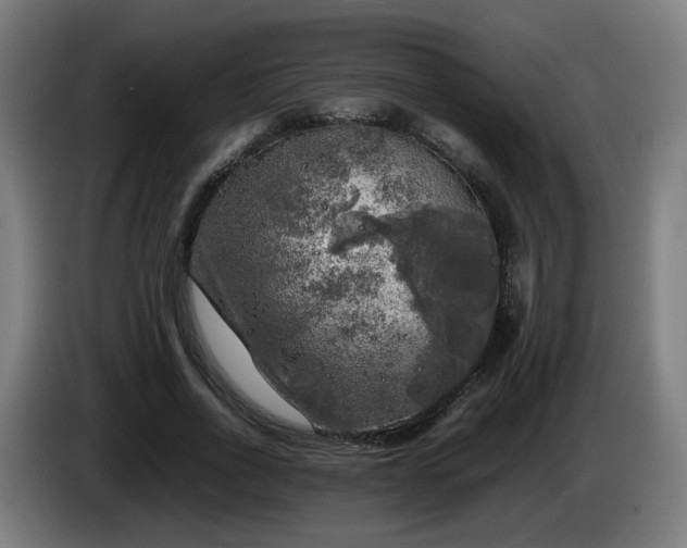 X0000086010734200703301010