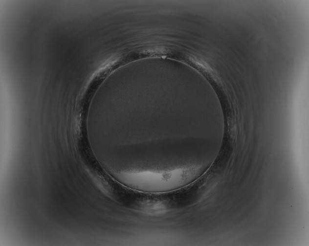 X0000086010735200703301010