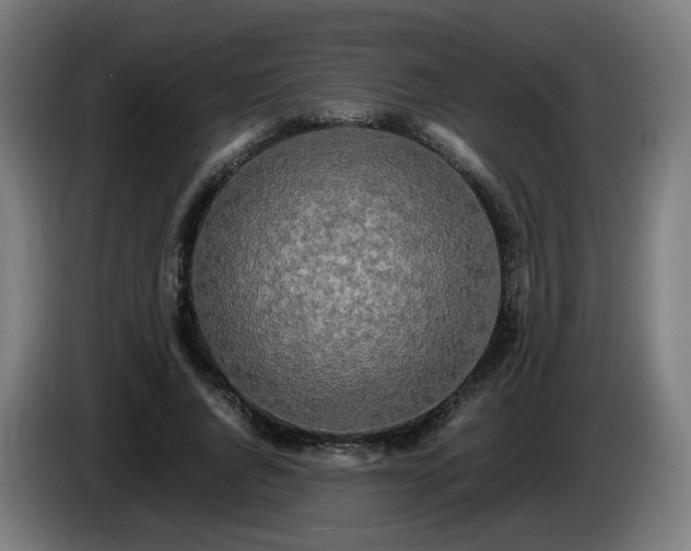 X0000086010736200703301010