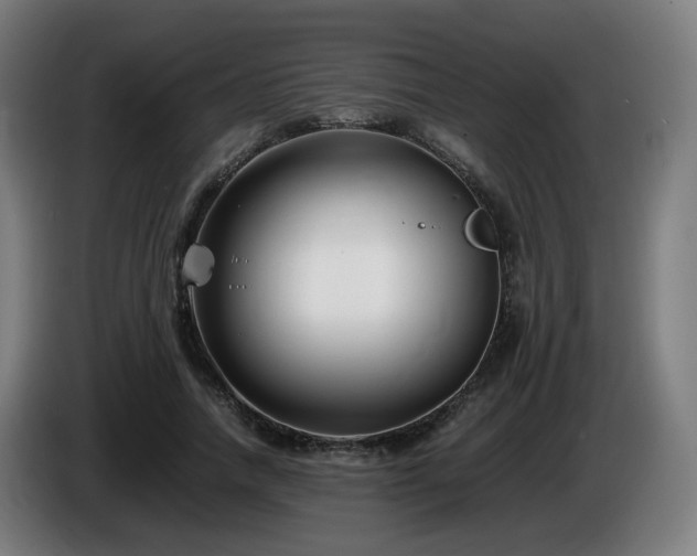 X0000086010738200703301010