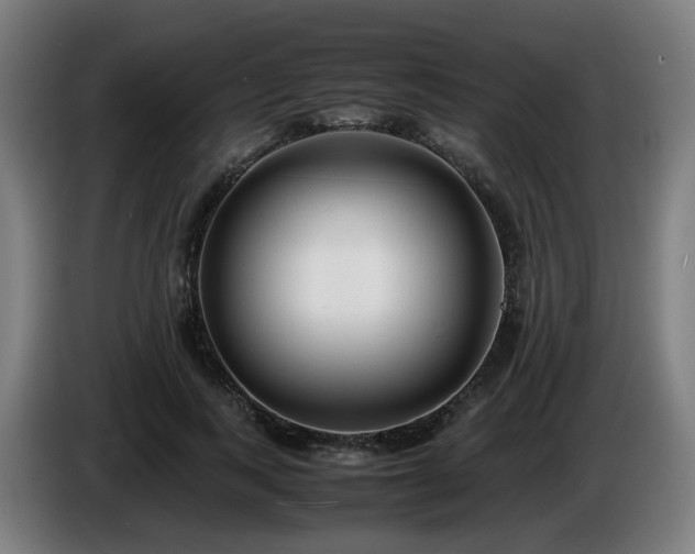 X0000086010743200703301010