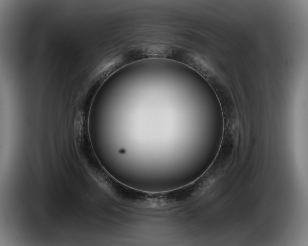 X0000086010744200703301010