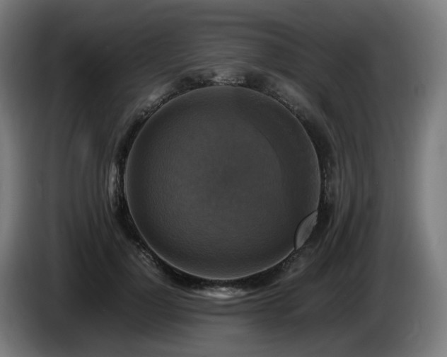 X0000086010748200703301010