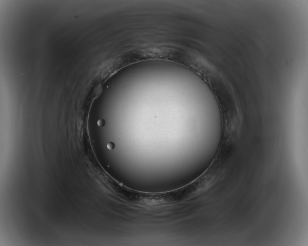 X0000086010749200703301010