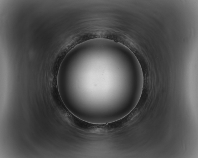 X0000086010750200703301010