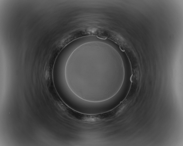 X0000086010754200703301010