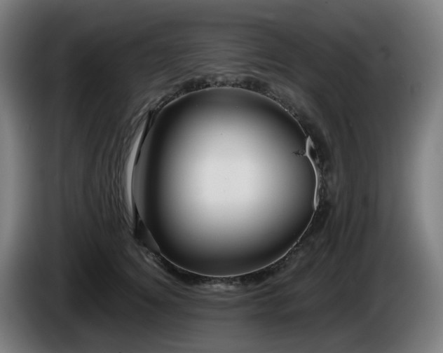 X0000086010756200703301010