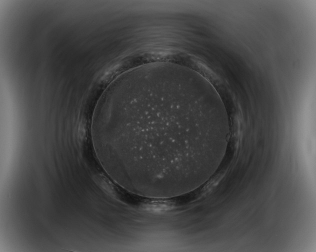 X0000086010758200703301010