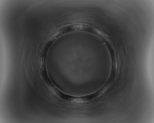 X0000086010759200703301010
