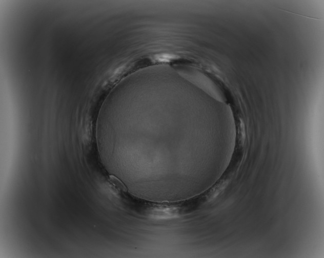 X0000086010760200703301010