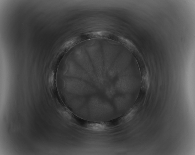 X0000086010765200703301010
