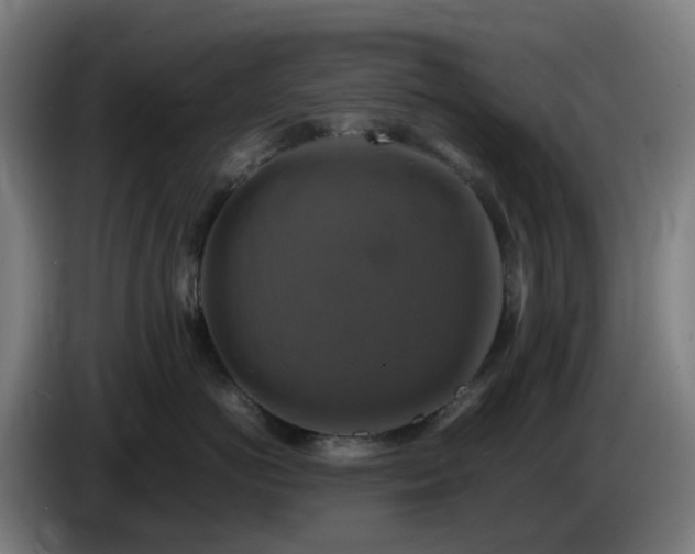 X0000086010766200703301010