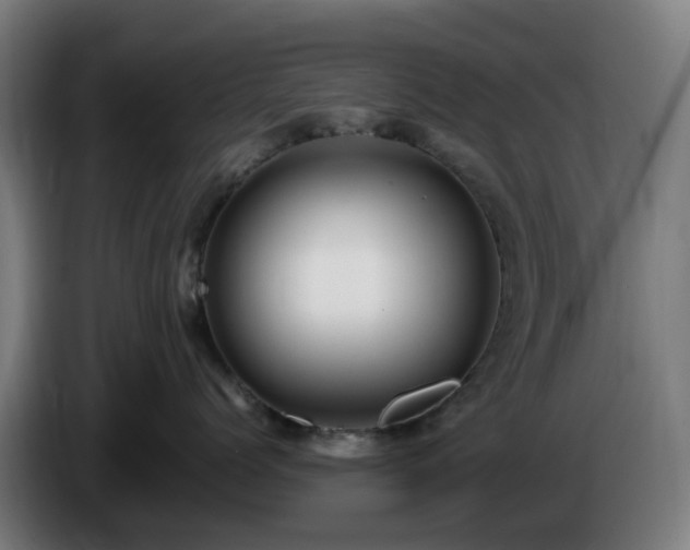 X0000086010768200703301010