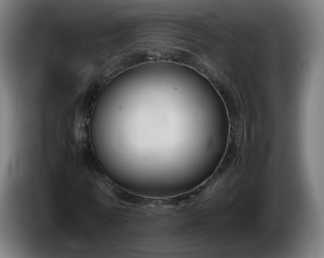 X0000086010770200703301009