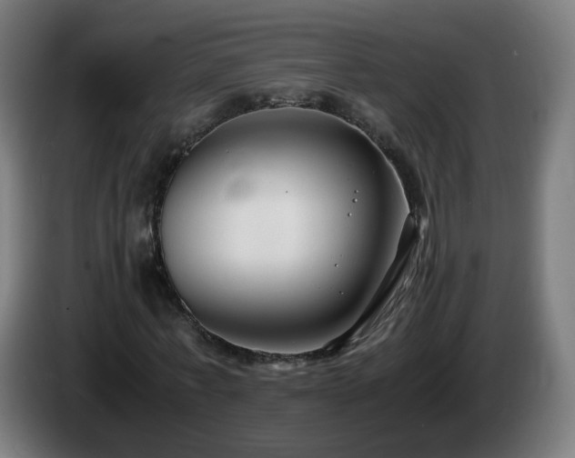 X0000086010771200703301009