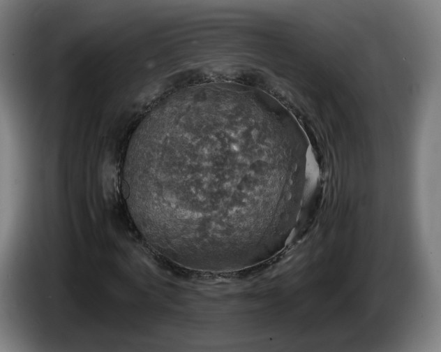 X0000086010772200703301009