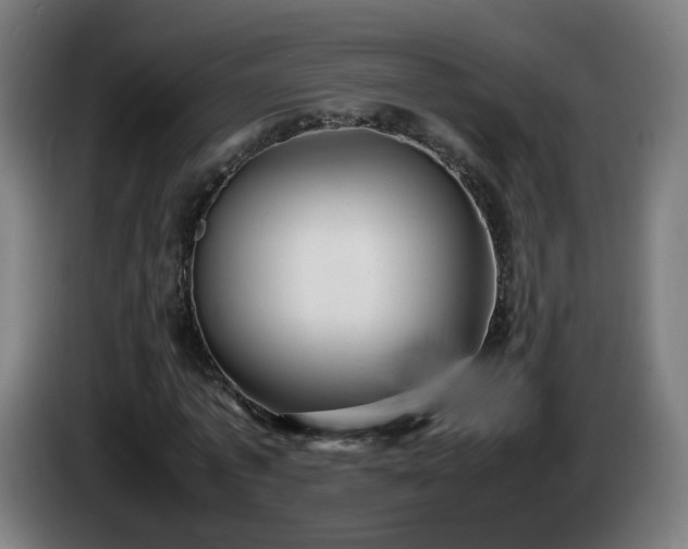 X0000086010773200703301009