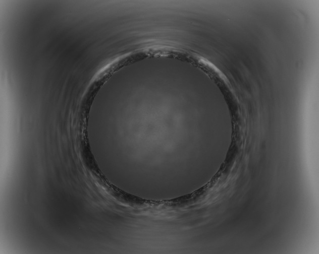 X0000086010775200703301009