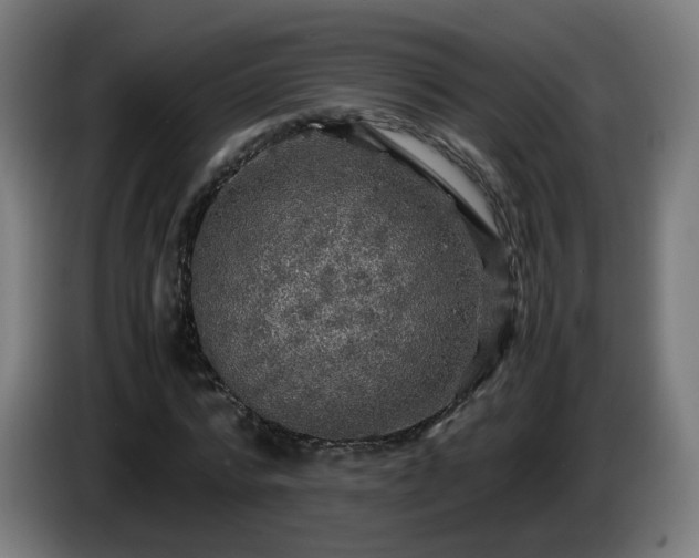 X0000086010776200703301009