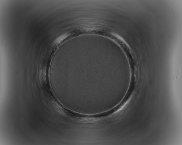 X0000086010777200703301009