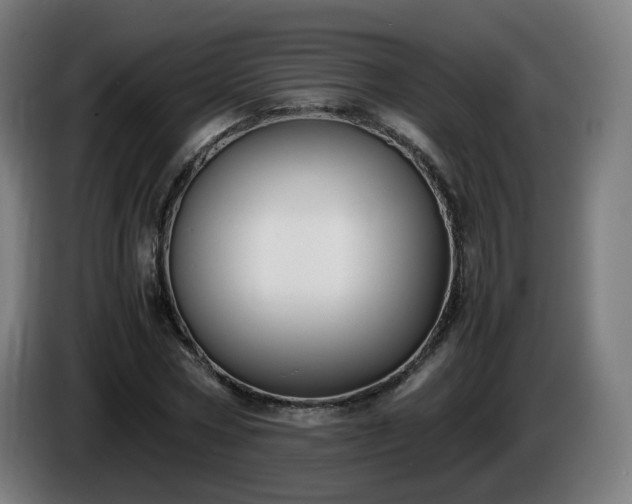 X0000086010778200703301009