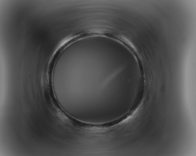 X0000086010779200703301009