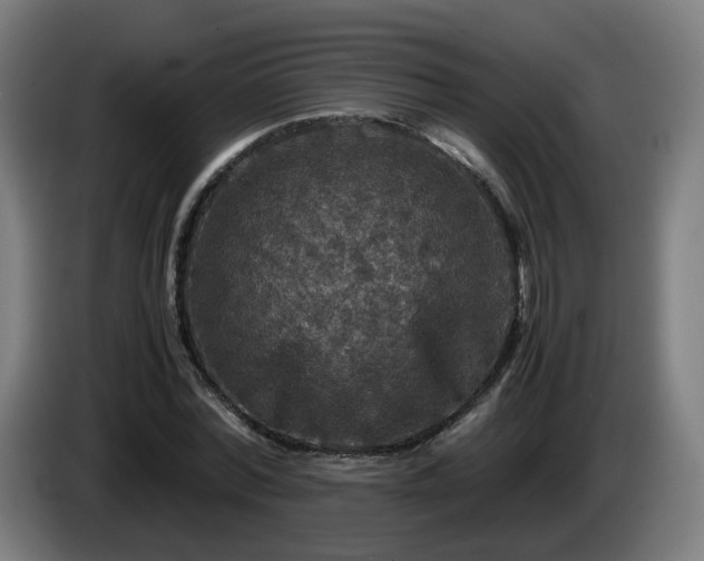 X0000086010780200703301009