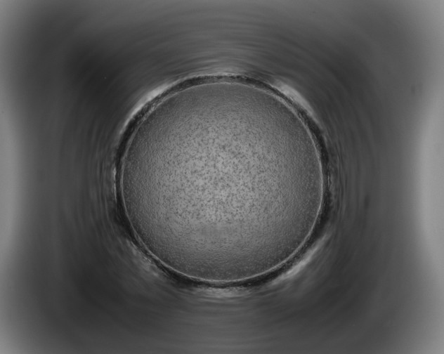 X0000086010781200703301009