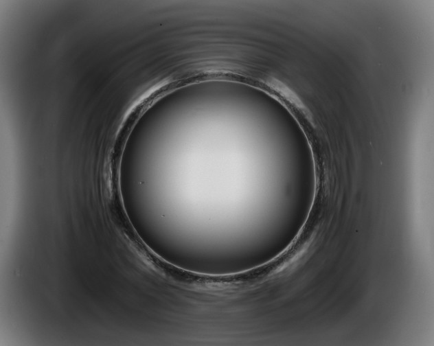 X0000086010782200703301009