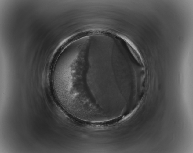 X0000086010783200703301009
