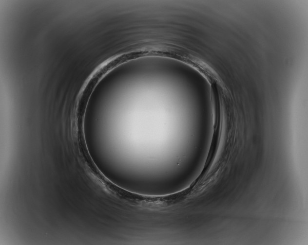X0000086010784200703301009