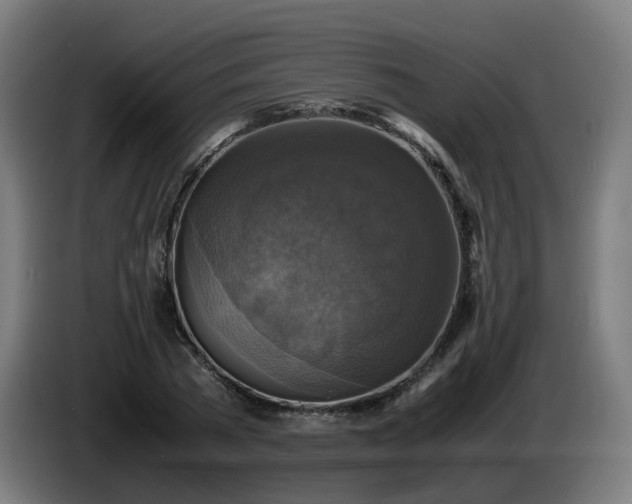 X0000086010785200703301009