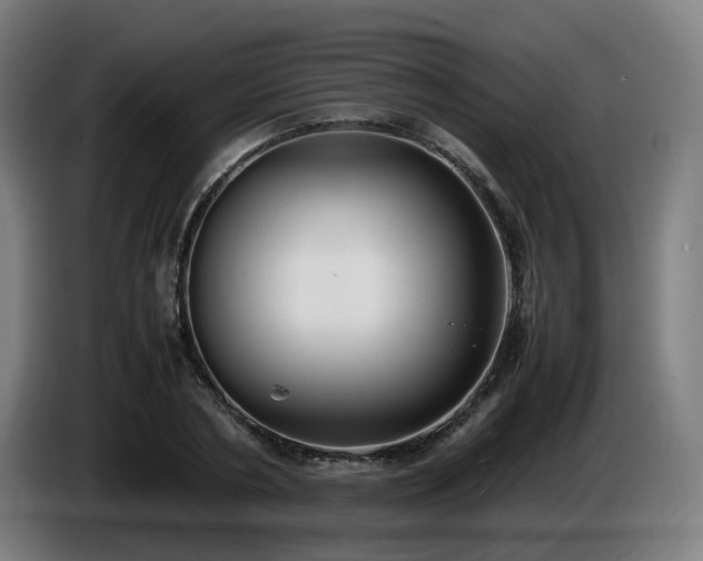X0000086010786200703301009