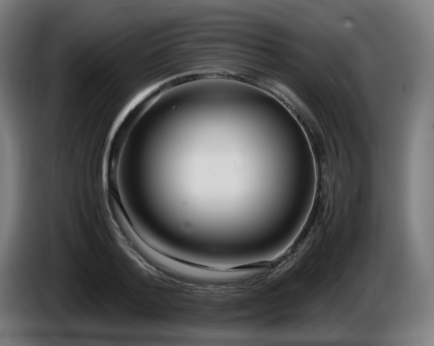 X0000086010788200703301009